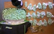 Female arrested in possession of drugs and illegal medicine