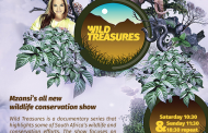 ANN7 launches new wildlife documentary show Wild Treasures