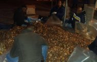 R6 million Abalone bust at Site B, Khayelitsha.