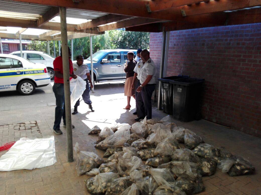 Abalone worth over one million rand was found abandoned after road crash in Somerset West.