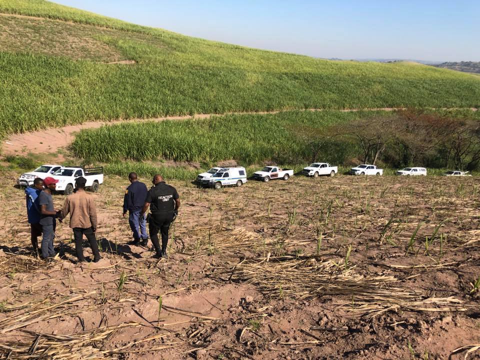 Three suspects arrested for stealing Telkom poles from a business adjacent to a farm at Tongaat