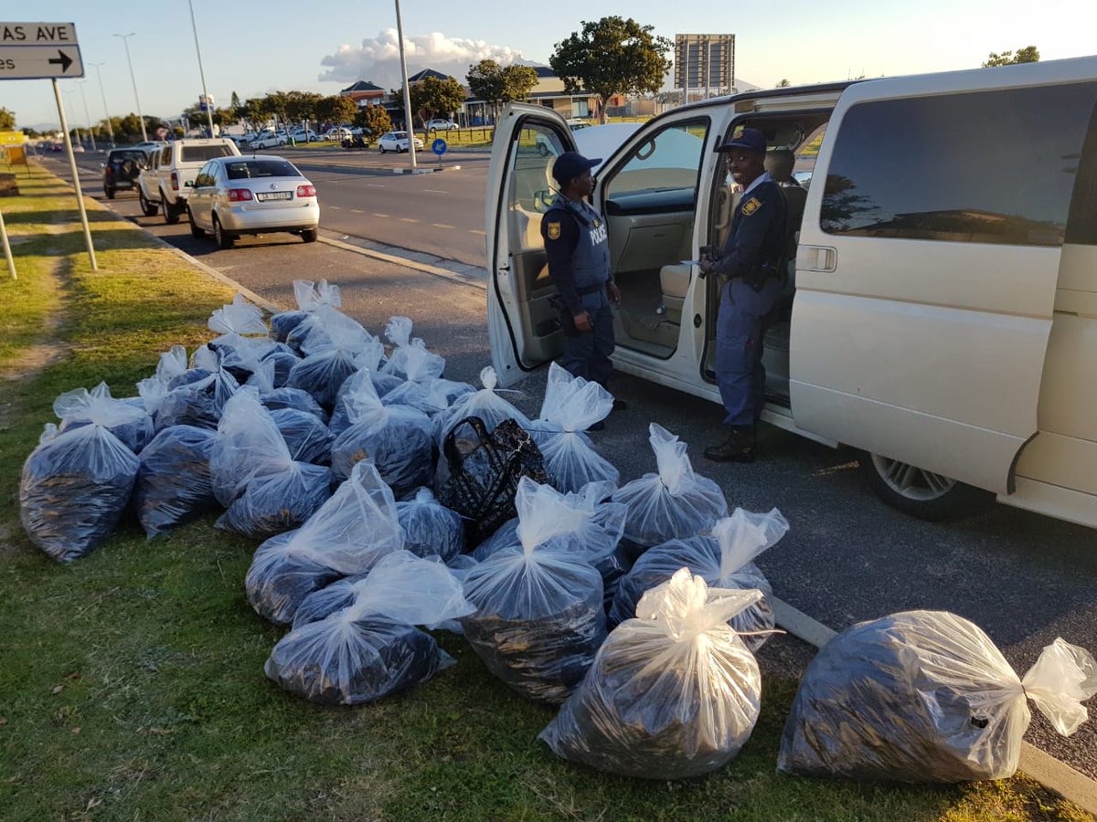 Three suspects apprehended in Bothasig with a large quantity of abalone