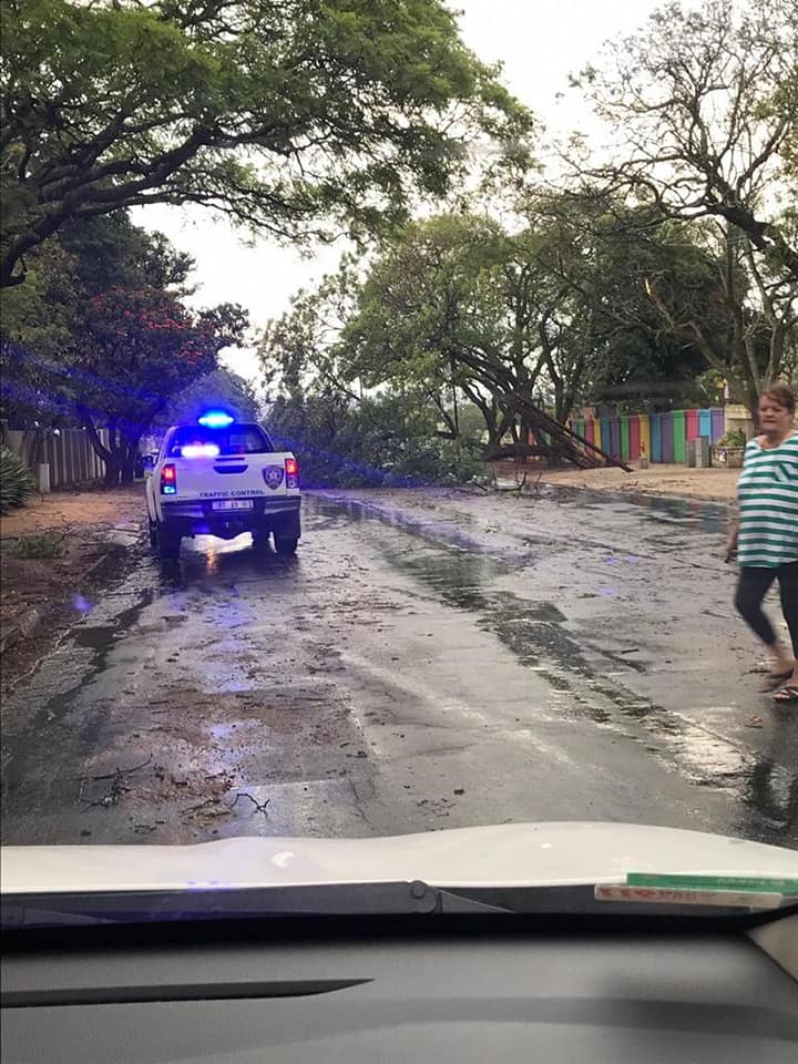 Caution required after many fallen trees are reported in Polokwane City