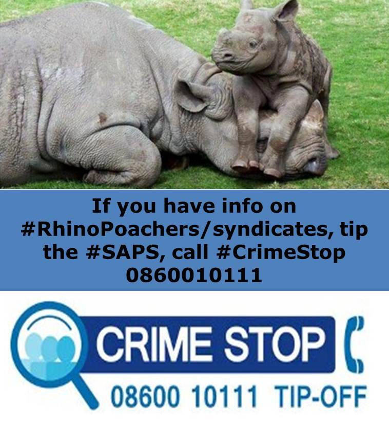 Two suspects arrested at OR Tambo International Airport with rhino horns