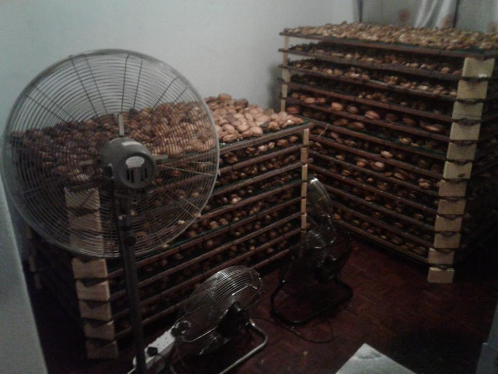 Two suspects arrested with abalone valued at R4.8 million in Milnerton