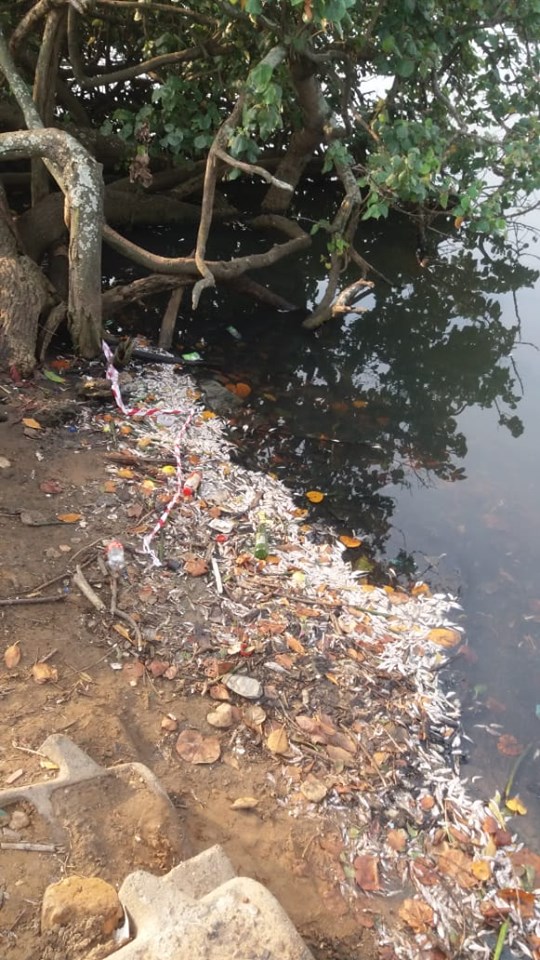 Isipingo Beach sewage overflow and pollution hazard to be addressed