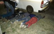 Four suspects arrested transporting suspected stolen sheep