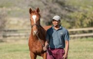 Celebrating the highest qualified equine stable yard managers in the Thoroughbred stud industry in South Africa