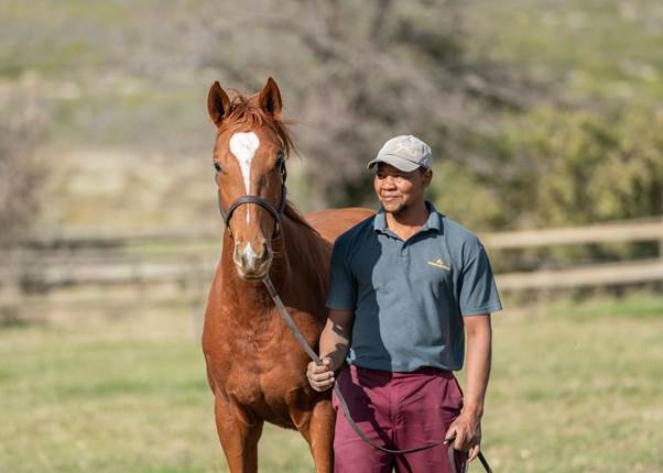 Celebrating the highest qualified equine stable yard managers in the Thoroughbred stud industry in South Africa