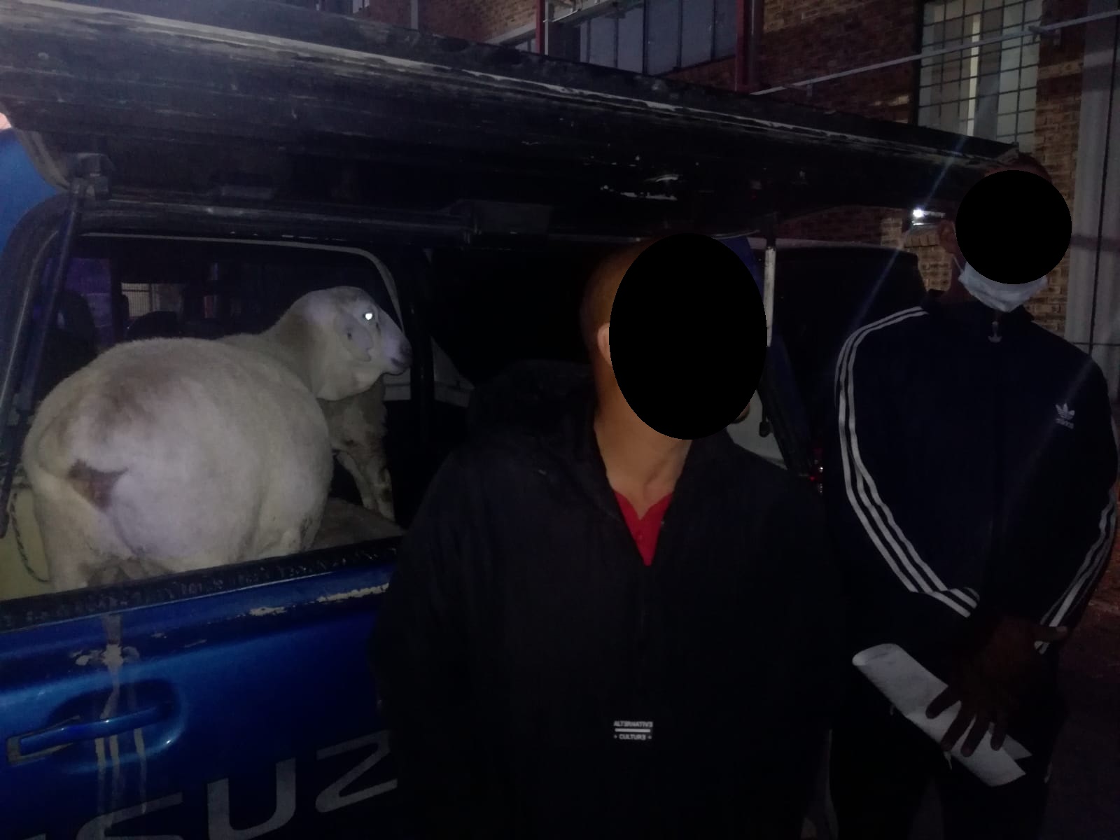 Upington Flying Squad arrest duo for stock theft