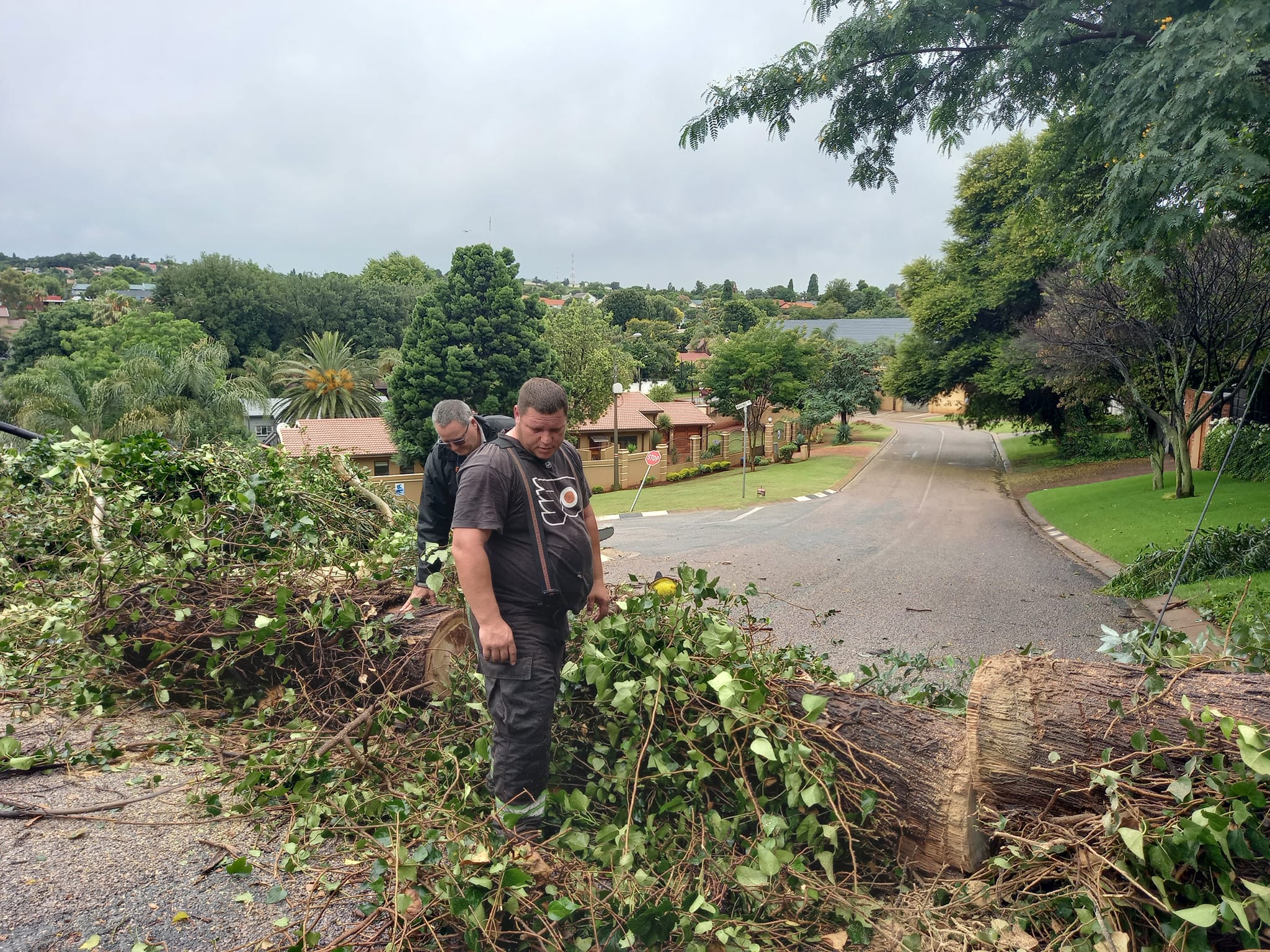 Road cleared after tree fell over in Silver Tree Drive, Roodekrans.