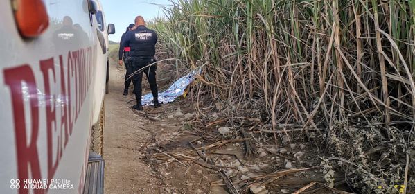 Gunshot victim discovered in a canefield in Inanda