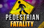 Despatch detectives investigate case of culpable homicide following a fatal collision between a pedestrian and an unknown vehicle