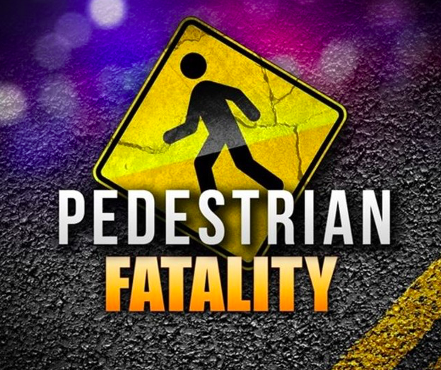 Despatch detectives investigate case of culpable homicide following a fatal collision between a pedestrian and an unknown vehicle