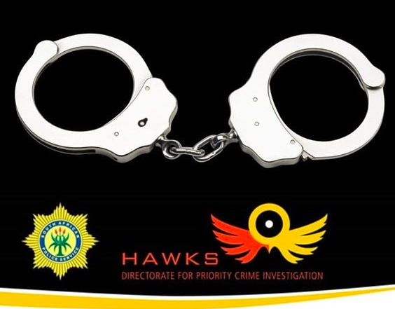 Bogus investment schemer arrested