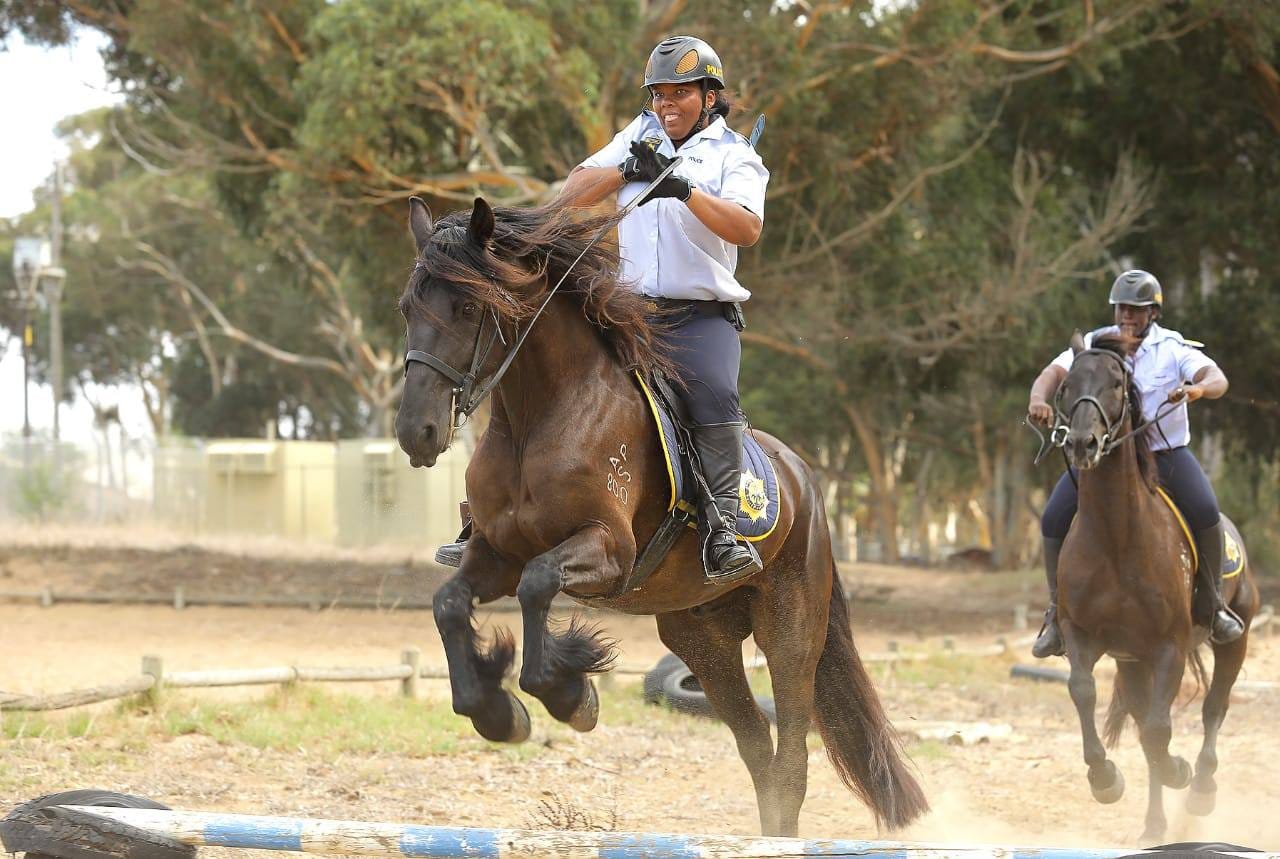 SAPS mounted unit to assist in making the festive season safer