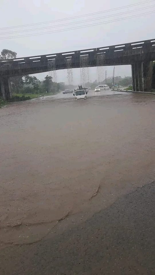 Scenery Park bridge covered with water