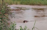 Police are appealing for assistance in identifying body of unknown man retrieved from Alverton River in Tubatse