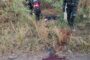 Tzaneen police arrest male suspect in connection with fatal stabbing in Mopye Village