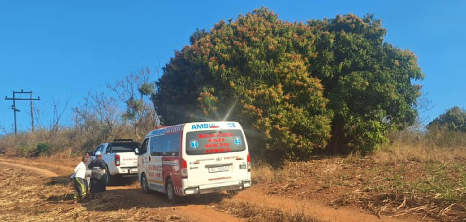 Man found hanging from a tree in Emona