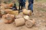 Four undocumented Mozambican nationals arrested for illegal mining