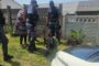 Multiple suspects arrested that was involved in theft and vandalism at a premises in Walmer