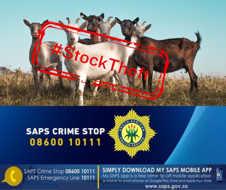 Manhunt underway for suspects who stole livestock in Lebowakgomo policing precinct