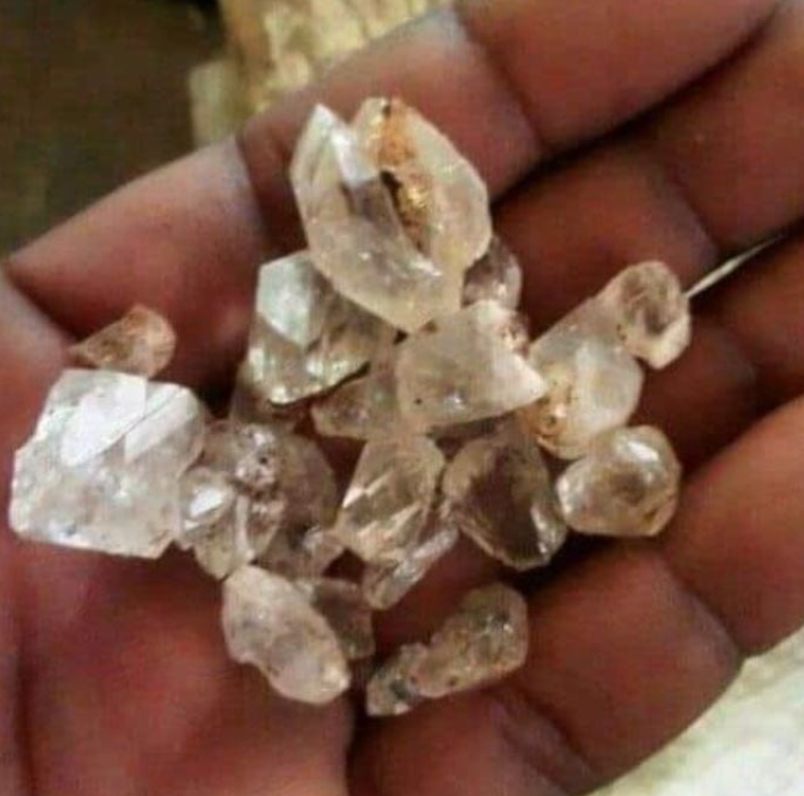 Eight suspects arrested on an alleged diamond investment scam of more than R4 billion