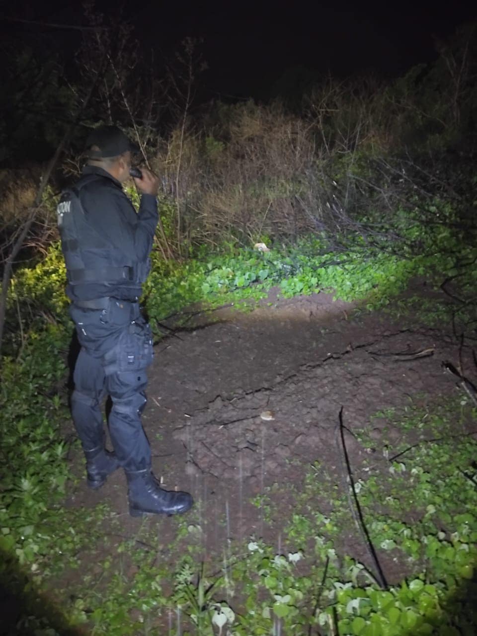 Two graves discovered in Waterloo