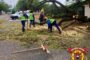 Fallen tree reported on Highway Street in Florida