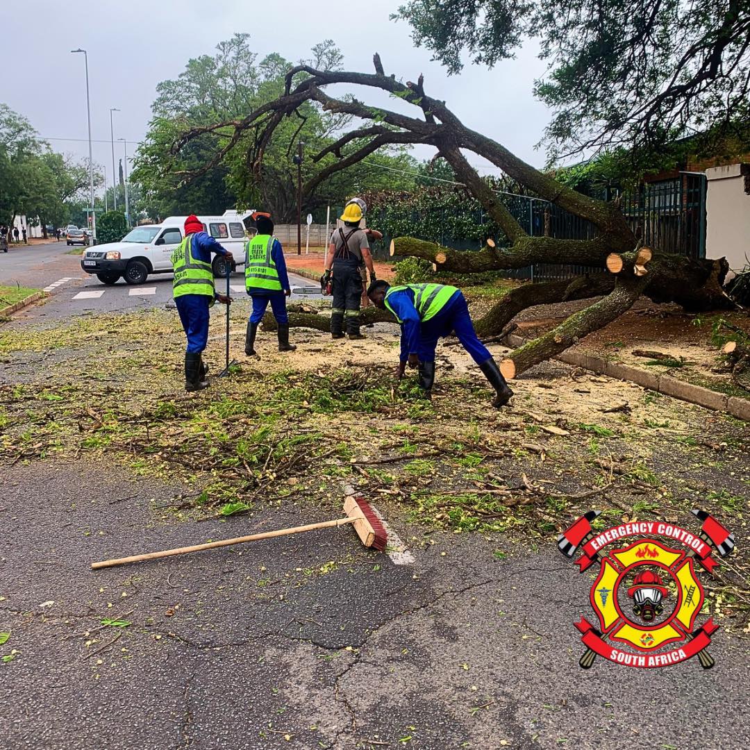 Fallen tree reported on Highway Street in Florida