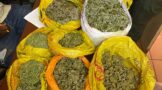 Suspect was arrested and charged with dealing in dagga in Gauteng