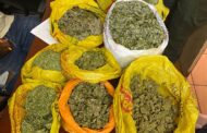 Suspect was arrested and charged with dealing in dagga in Gauteng