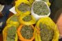 Suspect was arrested and charged with dealing in dagga in Gauteng