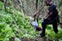 Murder victim found in a bush in Trenance Park