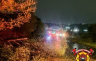 ECSA crews responded to reports of a fallen tree blocking two lanes on 14th Avenue in Fairlands