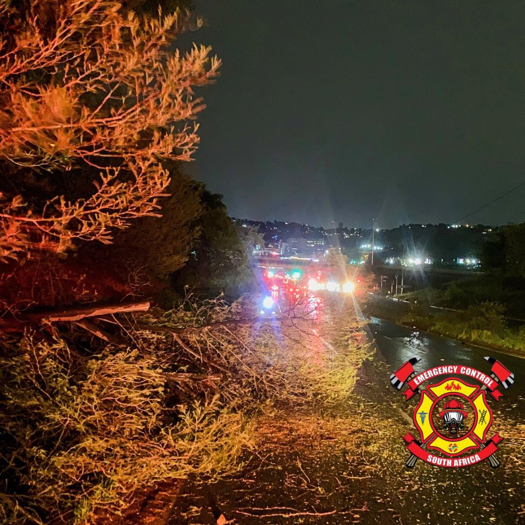 ECSA crews responded to reports of a fallen tree blocking two lanes on 14th Avenue in Fairlands