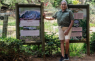 Meet Crocworld Conservation Centre's new Manager