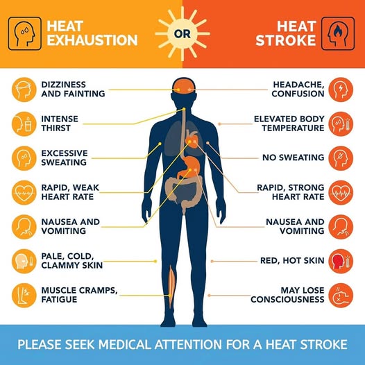 Public warned of scorching temperatures forecasted for KwaZulu-Natal