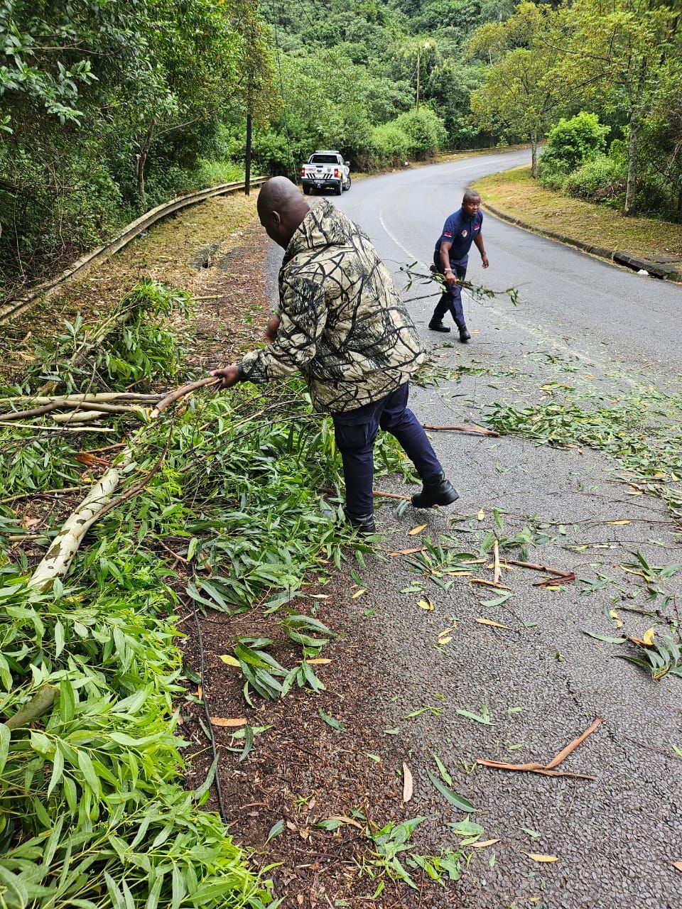 Fallen tree removed to clear the roadway for motorists on Peter Brown Drive in Pietermaritzburg