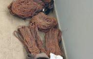 Police nabs two more copper cable thieves in Victoria West