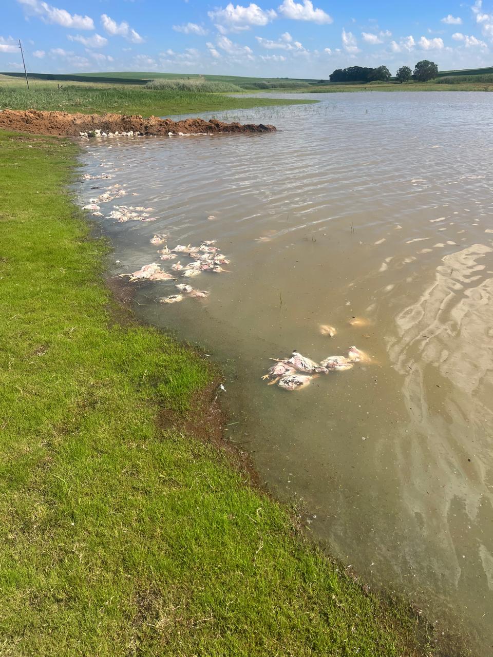 Beskerm ons skaars waterbronne: 'n pleidooi aan munisipaliteite én boere