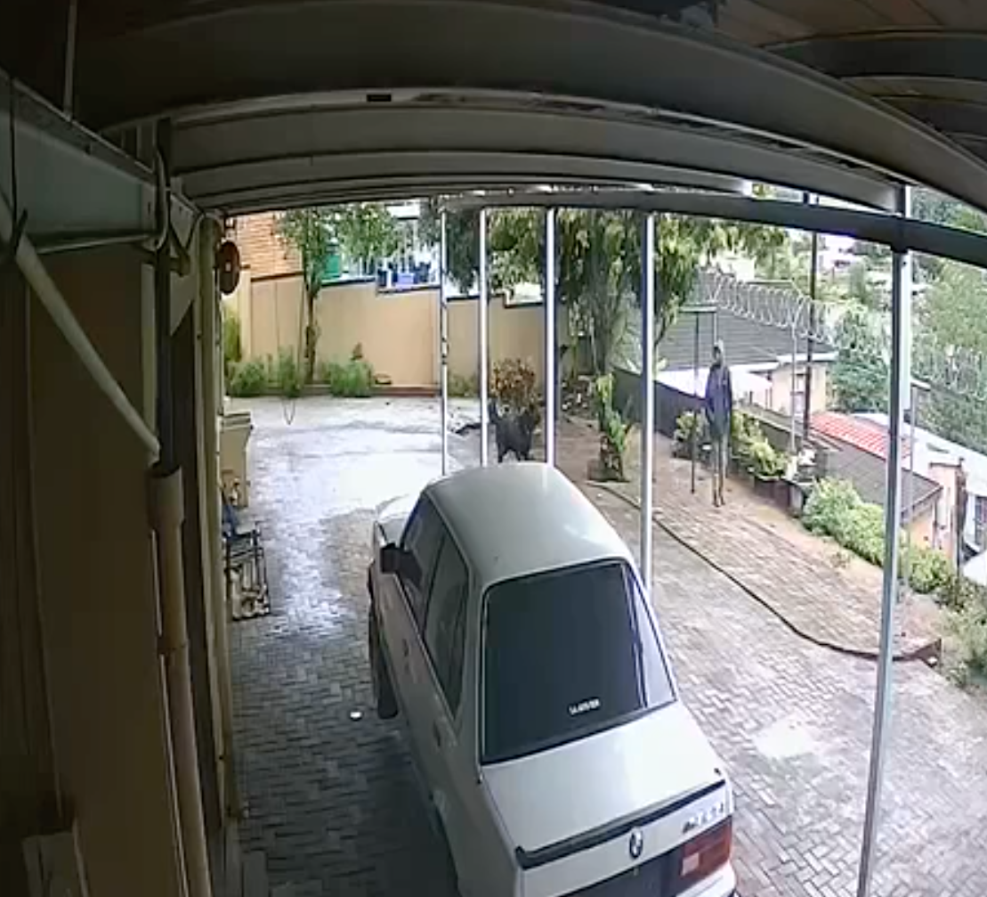 Attempted house break-in in Stranger