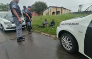 Theft of a dog foiled in Newlands West