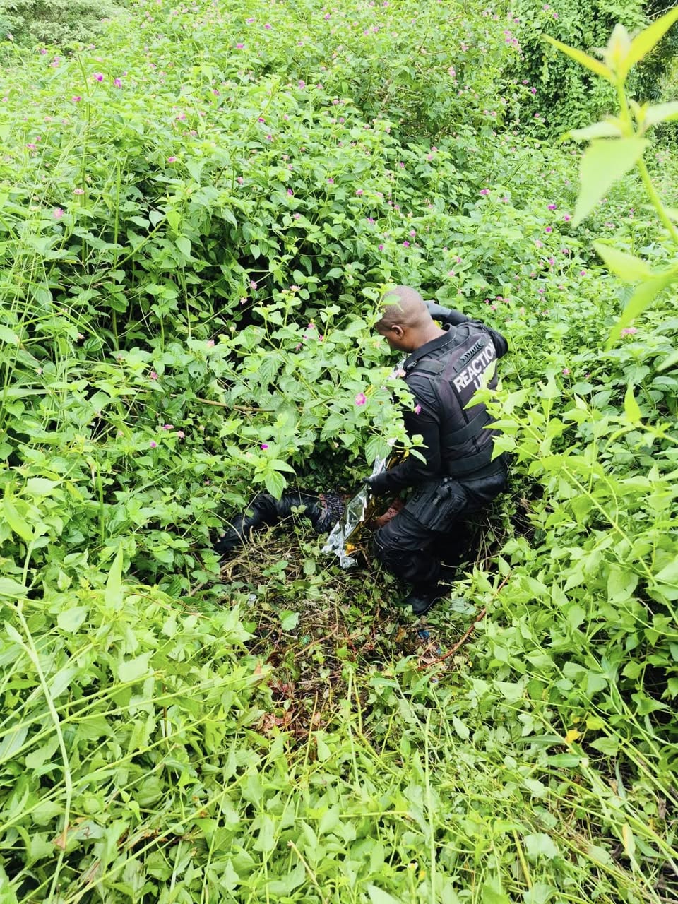 Body with 15 stab wounds recovered in Cottonlands