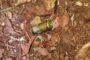 Victim Pistol Whipped During Home Invasion: Waterloo - KZN