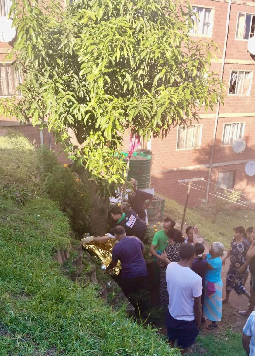 Man killed while pruning mango tree in Belvedere