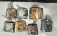 Eight suspects arrested though Operation Vala Umgodi actions in the Northern Cape