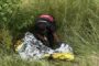 Murdered male found in overgrown vegetation in Oakford