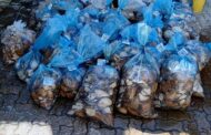 Police seizes abalone worth R500 000